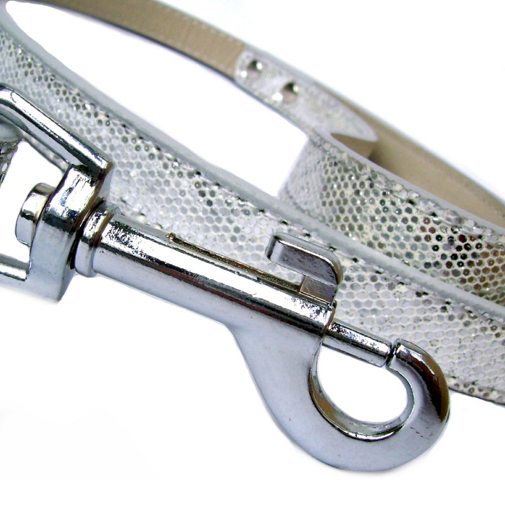 Disco Fever Dog Collar Lead Set