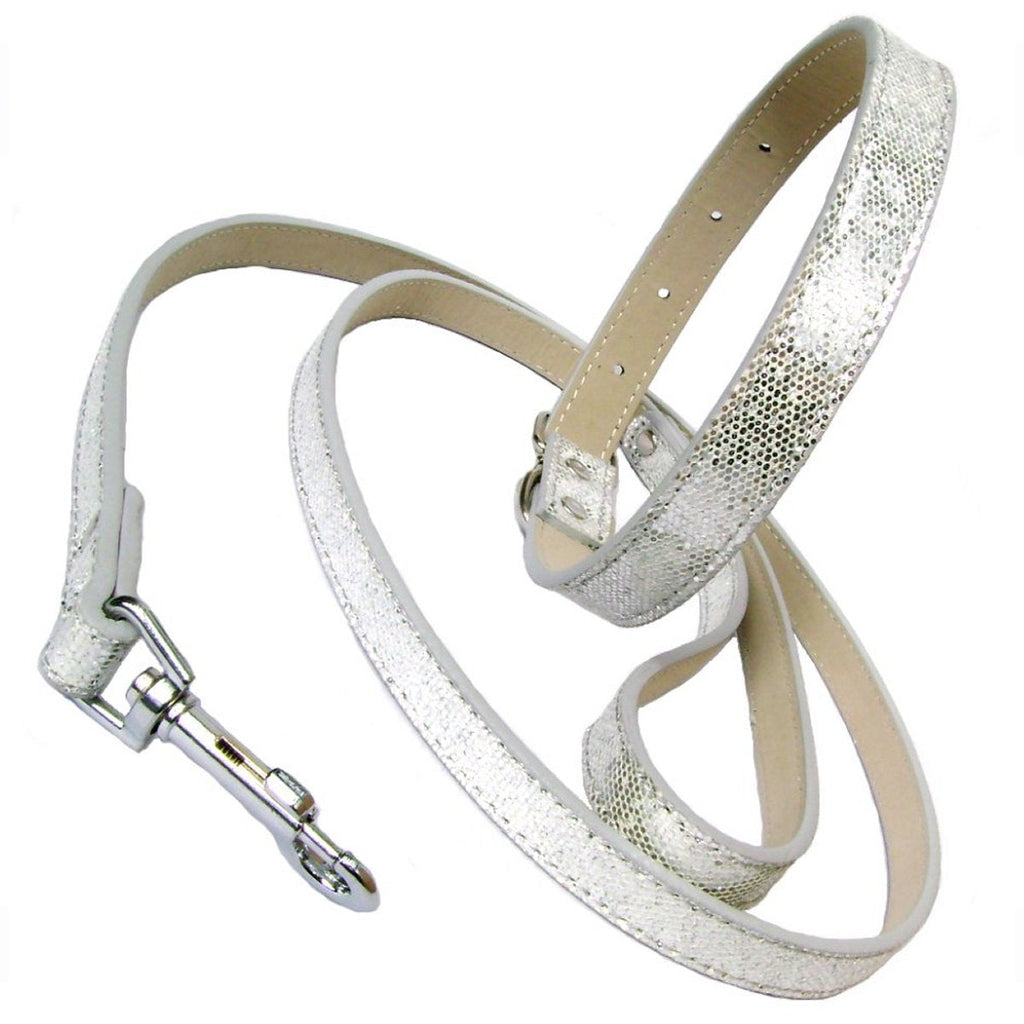 Disco Fever Dog Collar Lead Set