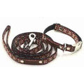 Finnigan's Bespoke Pup Dog Collar Set